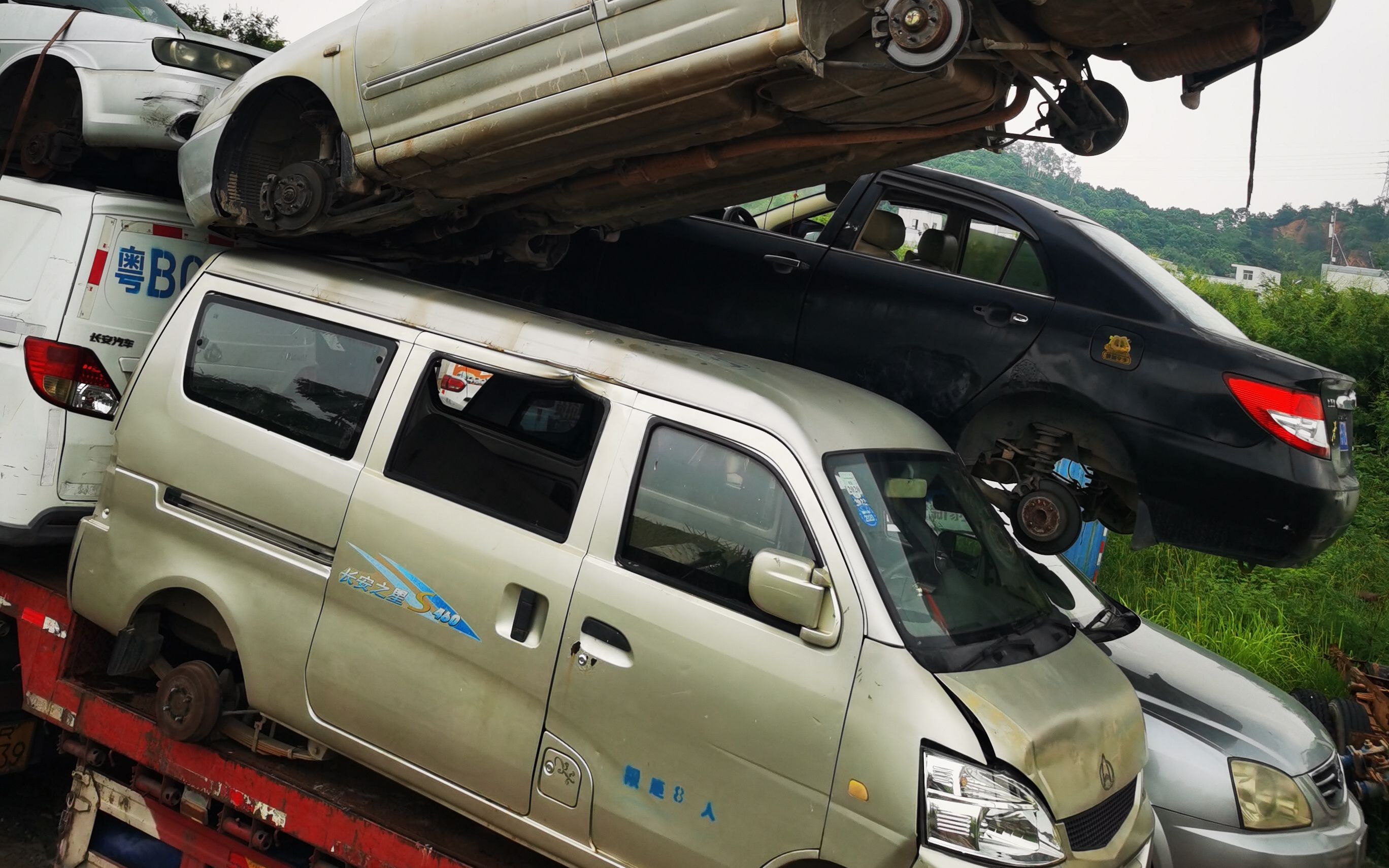 1741156253289618.jpg 图片15.jpg